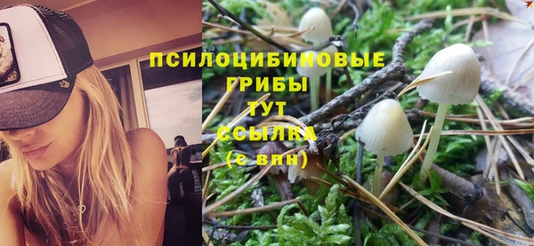 стаф Нефтегорск